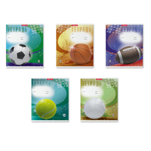 Тетрадь школьная ученическая ErichKrause® Мяч в игре, 24 листа, клетка (в плёнке по 10 шт.)
