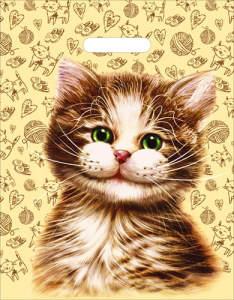 Пакет полиэтиленовый вырубной /Кузя/ (31*40 см) СП-4264