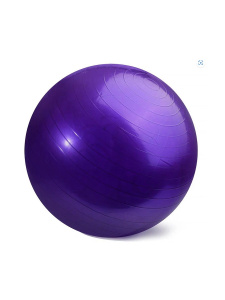 Мяч  гимнастический (вес до 250кг), 55см, фиолетовый, в наборе с насосом (Арт. ФИТ-1010)
