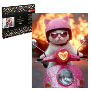 Алмазная  мозаика с частичной выкладкой (набор для творчества) арт. 71444 / 25 КОТ НА МОТОЦИКЛЕ, раз