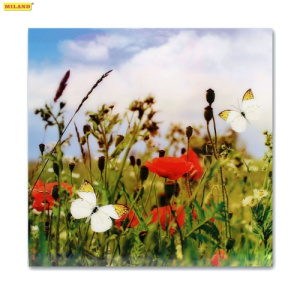 Картина на /стекле/ Маки и бабочки (30х30) УД-3998