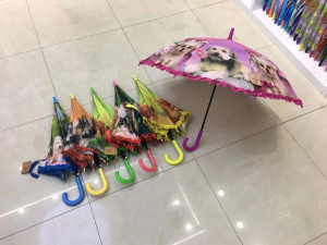 Зонт 50см, в ассорт. в пак. в кор.2*30шт