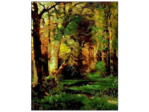 УЦЕНКА Холст с красками 40х50 см по номерам. ЛЕСНАЯ ЧАЩА (Арт. Q1097)