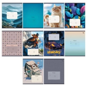 Тетрадь 24л., клетка BG /Микс-10/, эконом Т5ск24 06129