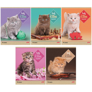 Тетрадь 48л А5ф ЛИНИЯ на скобе 5 диз.в блоке скругл.углы серия -Котята-