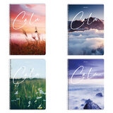 Тетрадь А4, 96 л., BRAUBERG, гребень, клетка, обложка картон, /Calm/, 404059