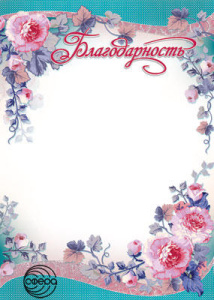 Ш-6552 Благодарность