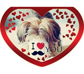 Валентинка I love you 5-05.1-0023