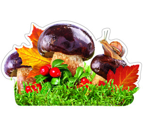 Элемент Улитка на грибе (10 эл.) 10-10.02-0024