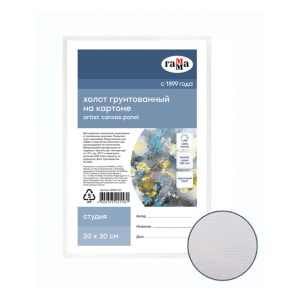 Холст на картоне Гамма /Студия/, 20*30см, 100% хлопок, мелкое зерно (10702070/210425/5133434, Китайс