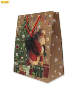 Пакет подарочный Новогоднее чудо (L-KRAFT) 12 шт ПП-6815