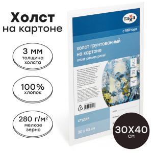 Холст на картоне Гамма /Студия/, 30*40см, 100% хлопок, 280г/м2, мелкое зерно 280818_06 (10702070/040