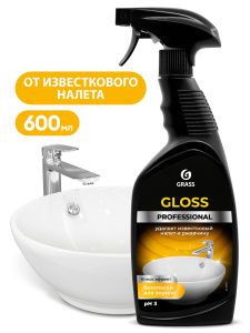 Gloss Professional 600 мл