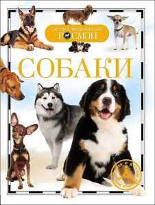 Собаки (ДЭР)