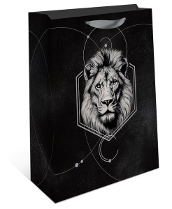 1598.199 Сумка бумажная премиум ВС 180х223х100