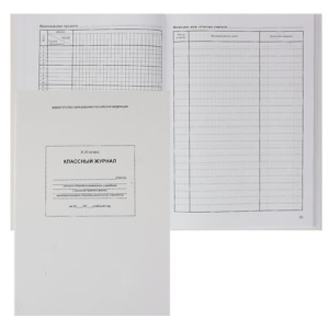 КЛАССНЫЙ ЖУРНАЛ ДЛЯ 10-11КЛАССОВ 96л. арт.1763791 (перепл. 7БЦ, глянц.ламин.) 205х290