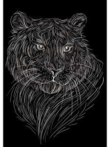 Гравюра А4 в пакете с ручкой. Золото. КРАСИВЫЙ ТИГР (Арт. Г-9383)