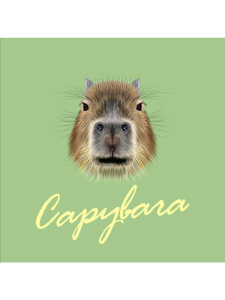 Обложка на паспорт Капибара анфас ПВХ ОП-1297