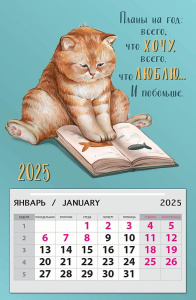 Календарь на магните 0611.069 - Планы на год: всего, что хочу