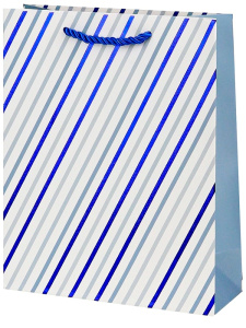 Dream cards Пакет подар. с мат.лам. с серебрис.тисн.18*24*8.5см(М),Cиние линии,210г ППК-2566