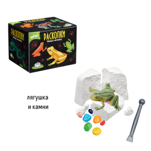 Мини набор для проведения раскопок Лягушки