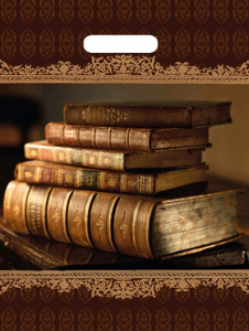 Пакет вырубной Книги (40*31 см)  н00113566