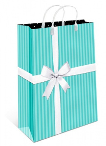 Сумка пластиковая 0427.169  390х320х100