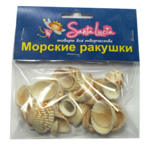 2210 Ракушка Стромбус урсус белый 50гр