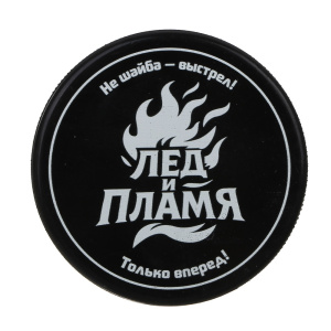 BY SPORT Шайба хоккейная с принтом, взрослая, 7.5х2.5см, резина (10132160/030925/5109468, Китай)