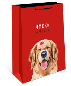 Сумка подарочная 0193.495  260х320х120