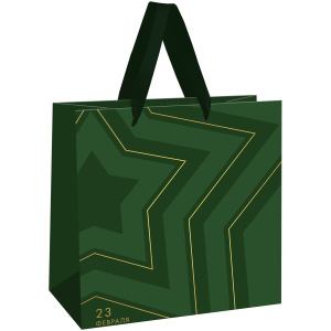 Пакет подарочный 20*20*10см MESHU /Military/, фольга,  матовая ламинация