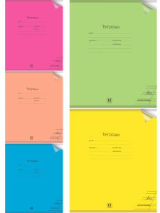 Тетрадь КОСАЯ ЛИНИЯ 12л. цвет.пласт.обл. plastic cover НЕОН (12-1352) ассорти 5 цветов