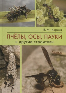 Пчёлы, осы, пауки и другие строители.