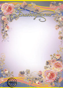 Ш-6445 Благодарность без Российской символики (фольга)