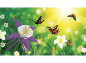 7052-3D В солнечных лучах