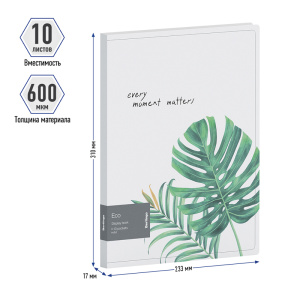 Папка с 10 вкладышами Berlingo /Eco/ А4, 17мм, 600мкм, с внутр. карманом, с рисунком DB4_10801 (1013