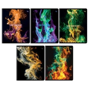 Тетрадь 96л., А5, клетка BG /Light/, глянцевая ламинация Т5ск96_лг 09065