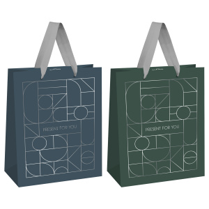 Пакет подарочный 18*23*10см MESHU /Strict lines/, фольга, матовая ламинация, ассорти