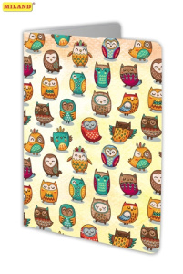 Обложка на паспорт /Совы/ (ПВХ, slim) ОП-5361