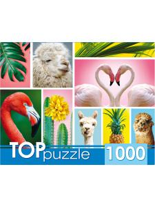 TOPpuzzle. ПАЗЛЫ 1000 элементов. ГИТП1000-4137 Модный коллаж