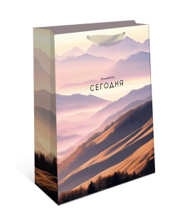 1598.202 Сумка бумажная премиум ВС 180х223х100