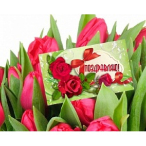 Мини-открытки 90*50  Поздравляю 2502