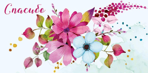 Спасибо 0318.438