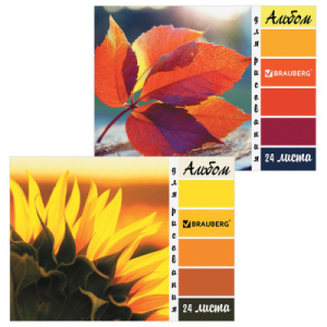 Альбом для рисования А4 24 листа, гребень, обложка картон, BRAUBERG ЭКО, 205х290 мм, /Макро/ (2 вида